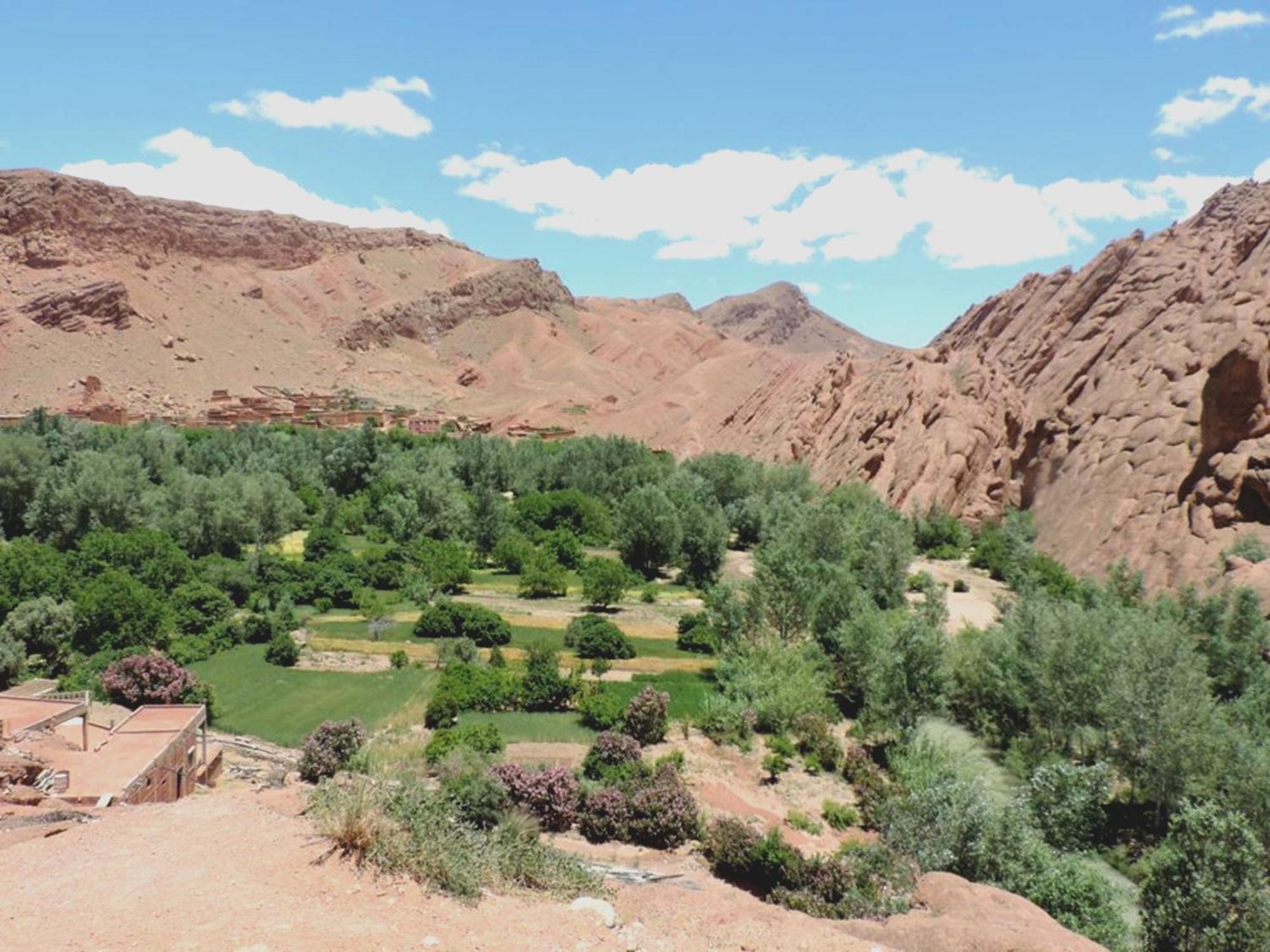 Kasbah Elmehdaoui Bed and Breakfast Skoura Εξωτερικό φωτογραφία